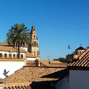 La Mirada De La Juderia Cordoue